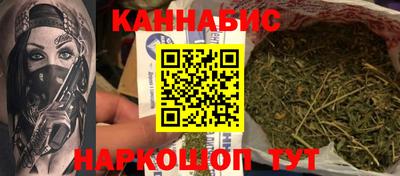 крисы Камышлов
