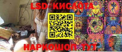 прущие грибы Кимры