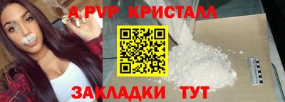 ПСИЛОЦИБИНОВЫЕ ГРИБЫ Кингисепп