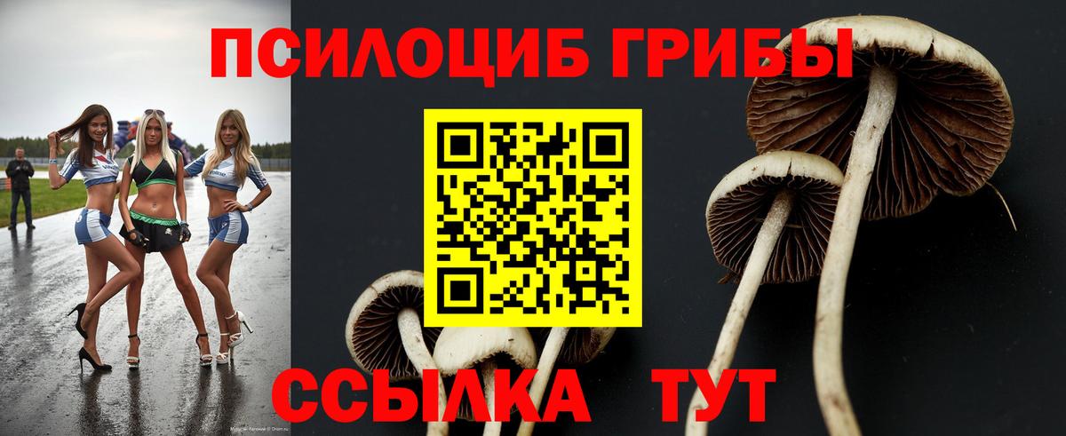 Галлюциногенные грибы Cubensis  Вход с VPN  Урай 